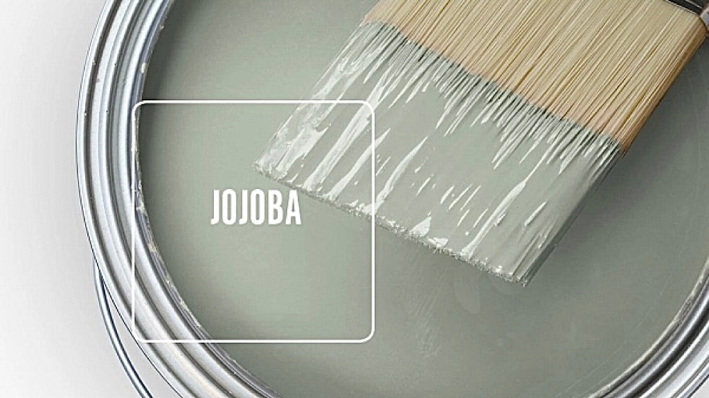 Jojoba