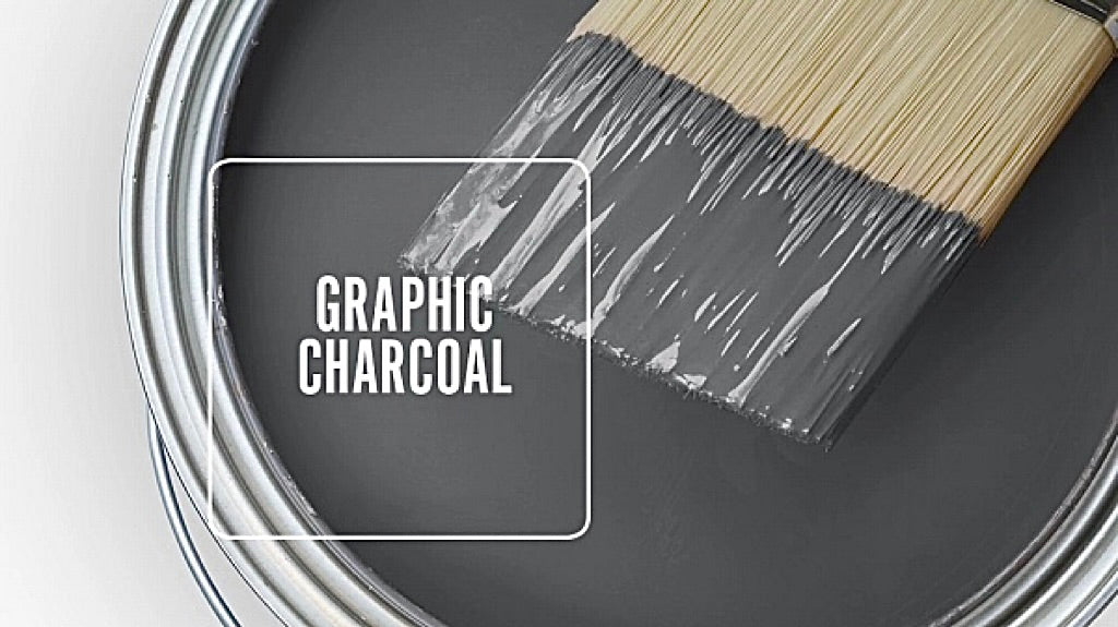 Graphic Charcoal